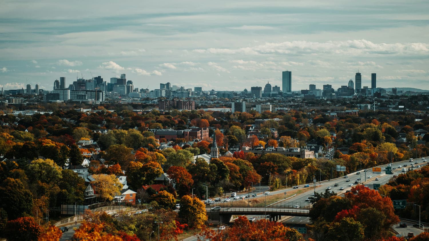 Maverick Square's high view. Trees, buildings, houses, cars
